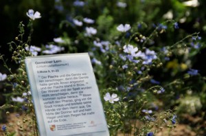 Bibelgarten Infotafel